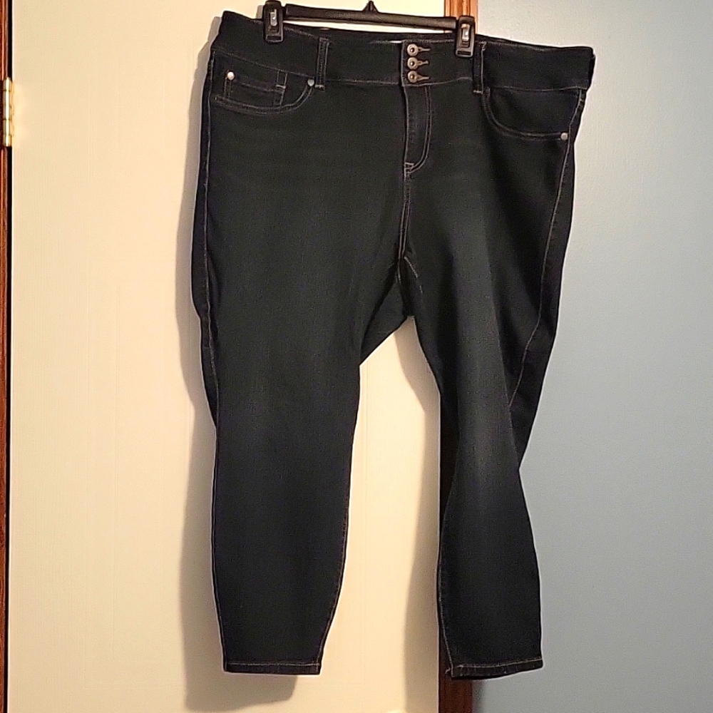 Torrid Women's Jegging Jeans Size 24S